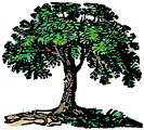 Oaktree.gif (5416 bytes)